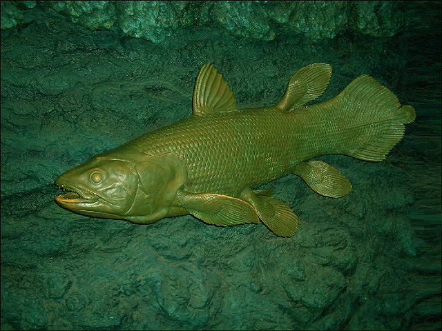 G0001_2006_国立科学博物館【生きている化石魚】 G0001