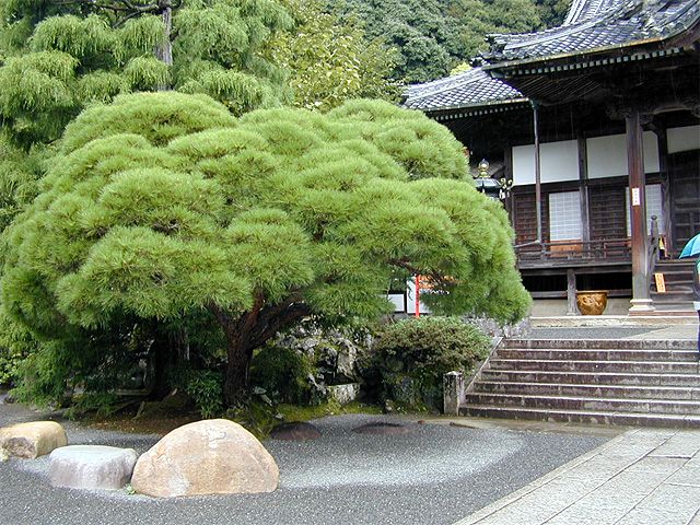 G0033_静岡県伊豆【修善寺】 G0033