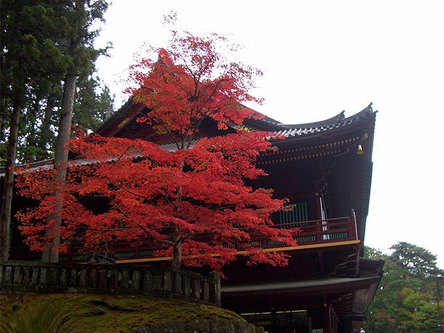 G0035_2008_栃木県日光【紅葉】 G0035