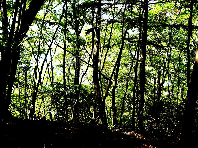 G0158_Your image is the best title ! G0158