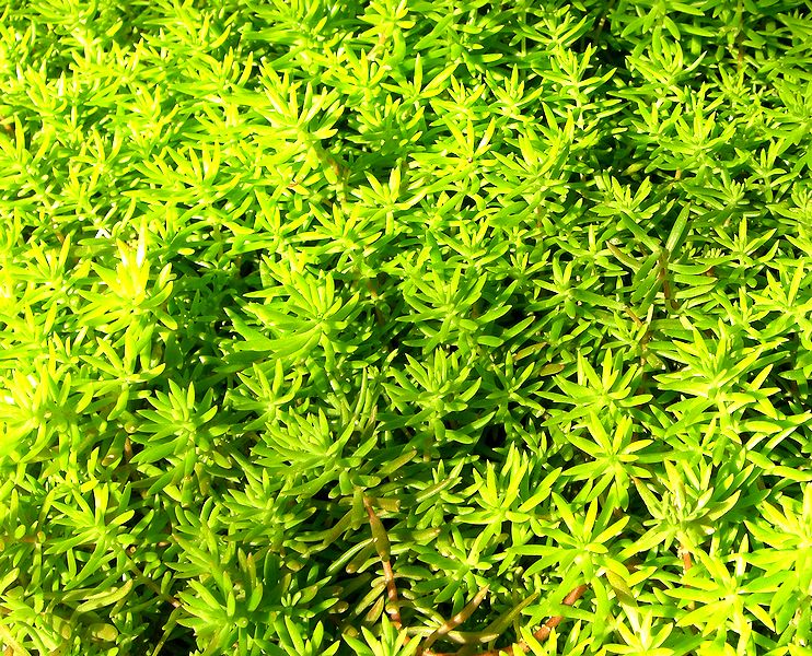 G0224_Your image is the best title ! G0224