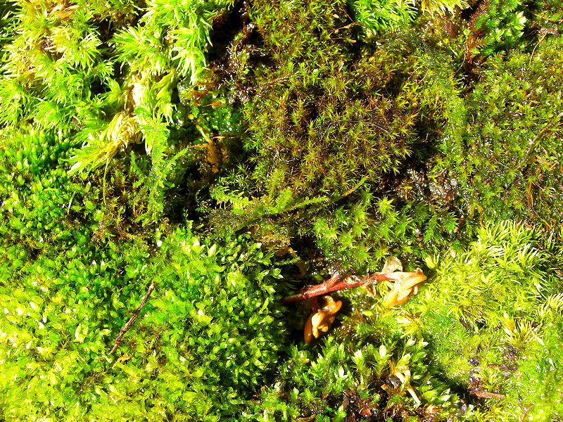 G0236_Your image is the best title ! G0236