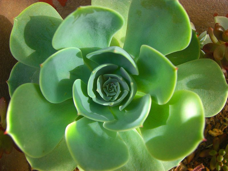 G0340_Your image is the best title ! G0340