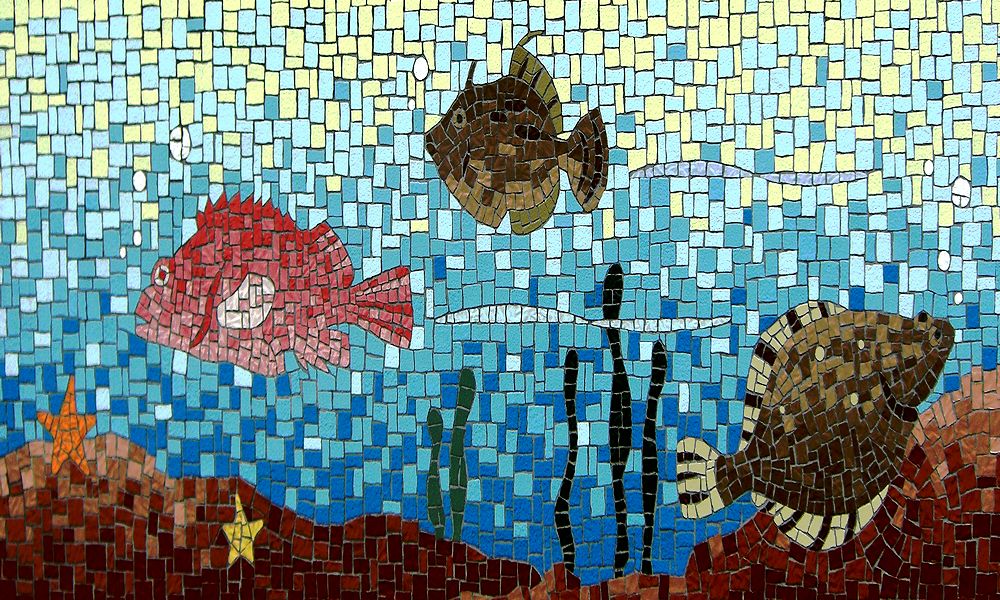 G0377_Your image is the best title ! G0377