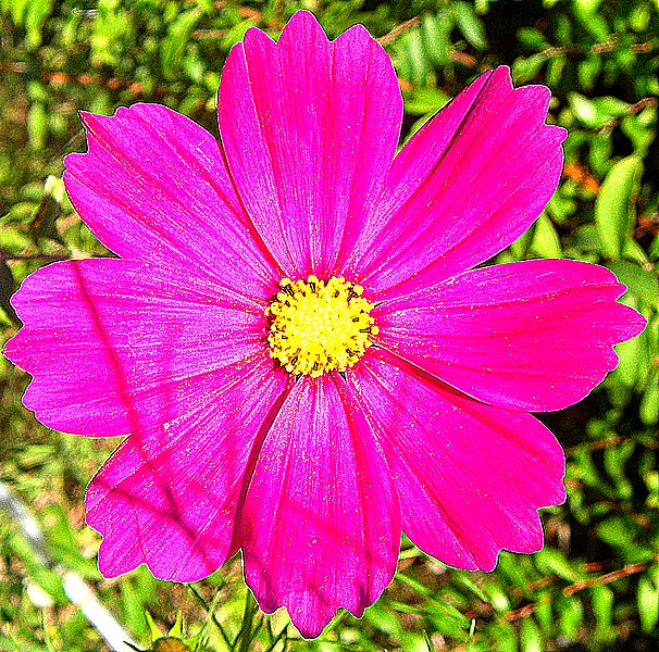 G0432_Your image is the best title ! G0432