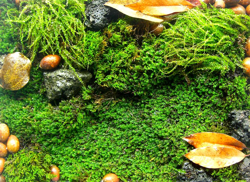 G0458_Your image is the best title ! G0458