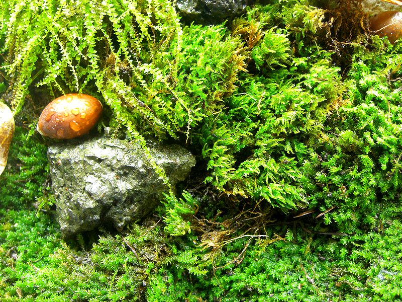 G0459_Your image is the best title ! G0459