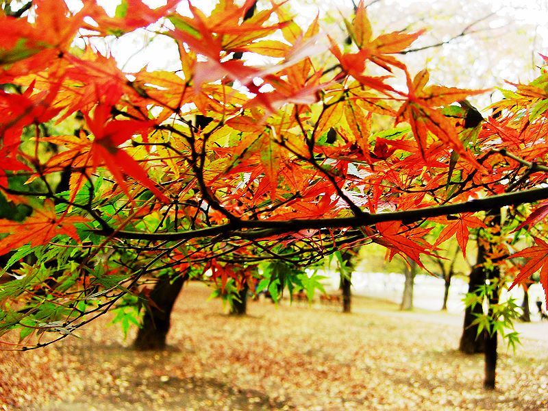 G0493_Your image is the best title ! G0493