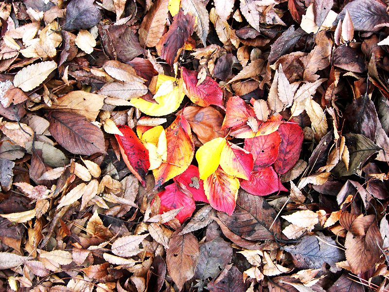 G0502_Your image is the best title ! G0502