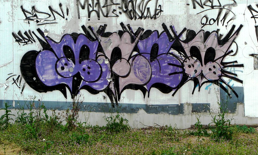 G0537_Your image is the best title ! G0537