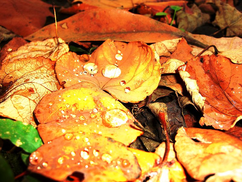 G0569_Your image is the best title ! G0569