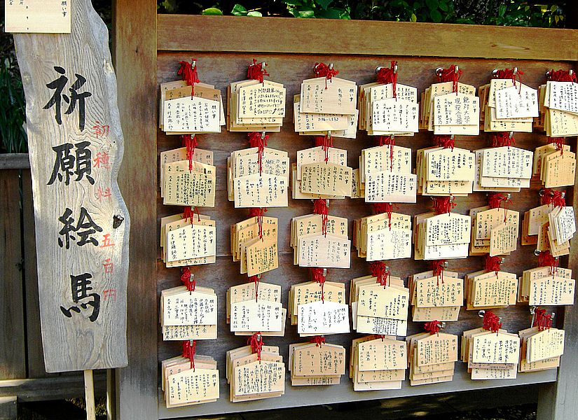 G0698_Your image is the best title ! G0698
