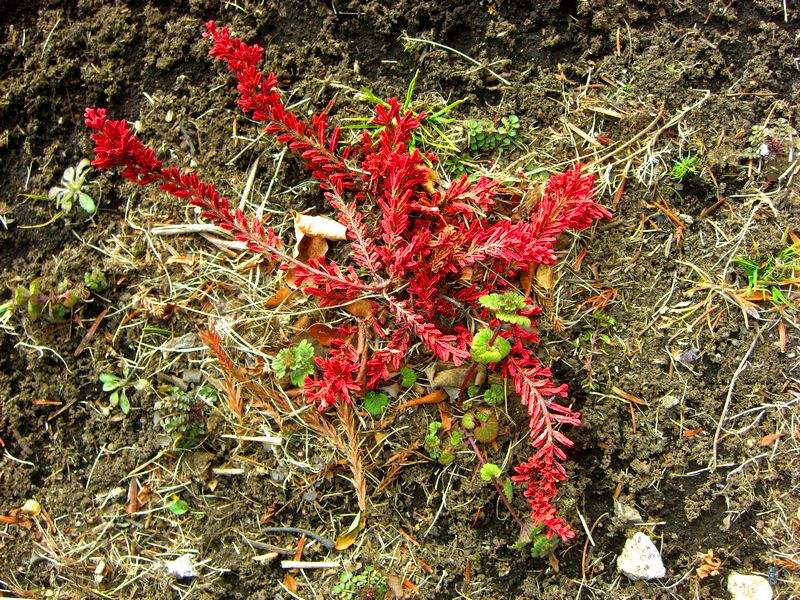 G0713_Your image is the best title ! G0713