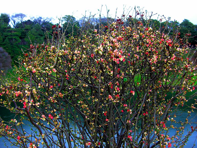 G0714_Your image is the best title ! G0714