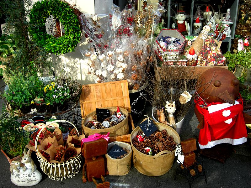 G0798_Your image is the best title ! G0798