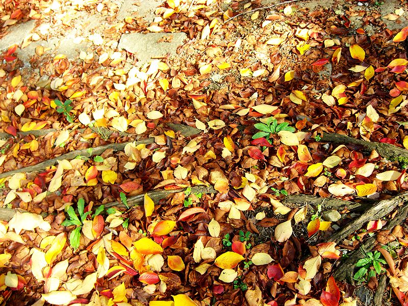 G0883_Your image is the best title ! G0883