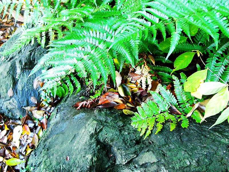G0921_Your image is the best title ! G0921