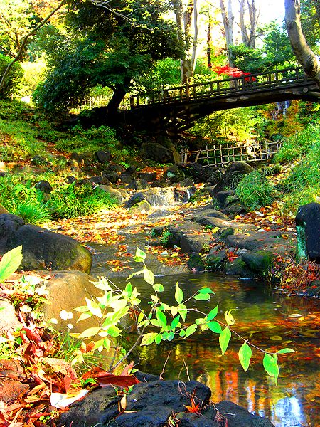 G0926_Your image is the best title ! G0926