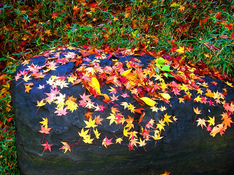 G0930_Your image is the best title ! G0930
