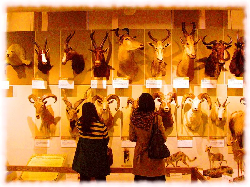 G1076_Your image is the best title ! G1076