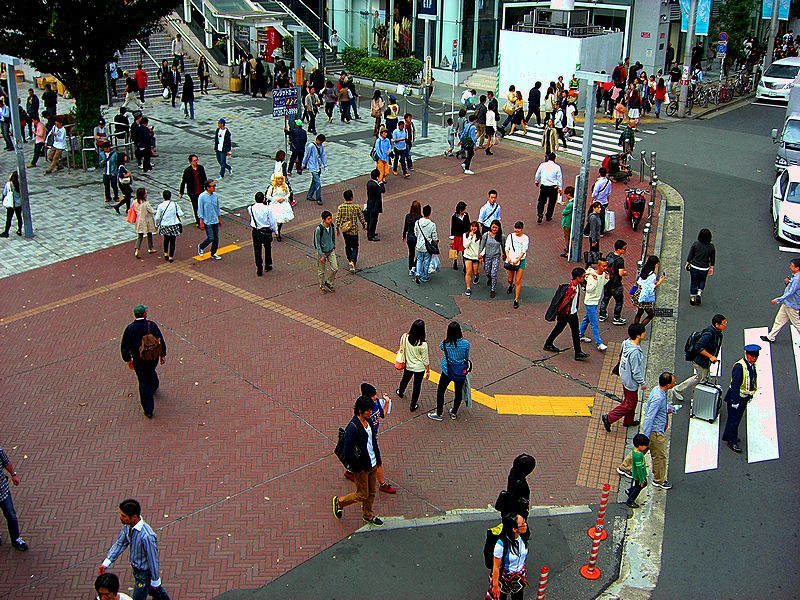 G1241_Your image is the best title ! G1241
