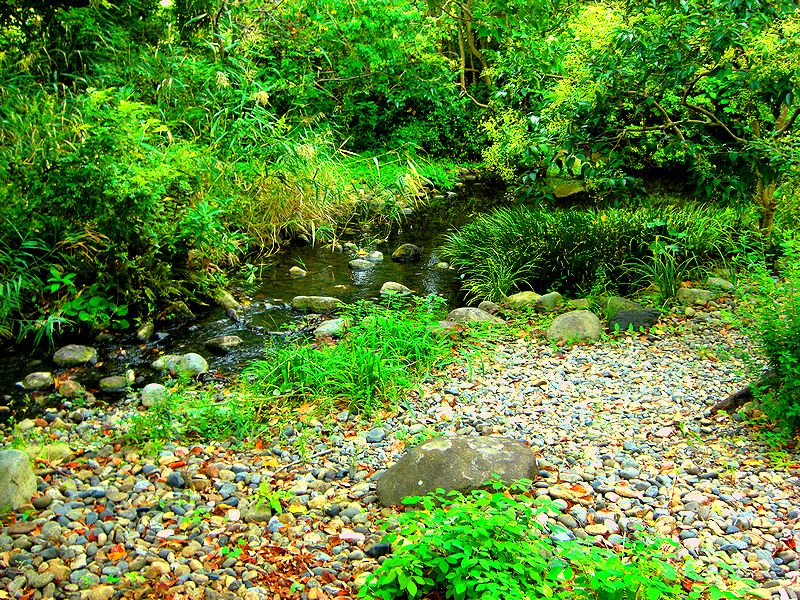 G1242_Your image is the best title ! G1242