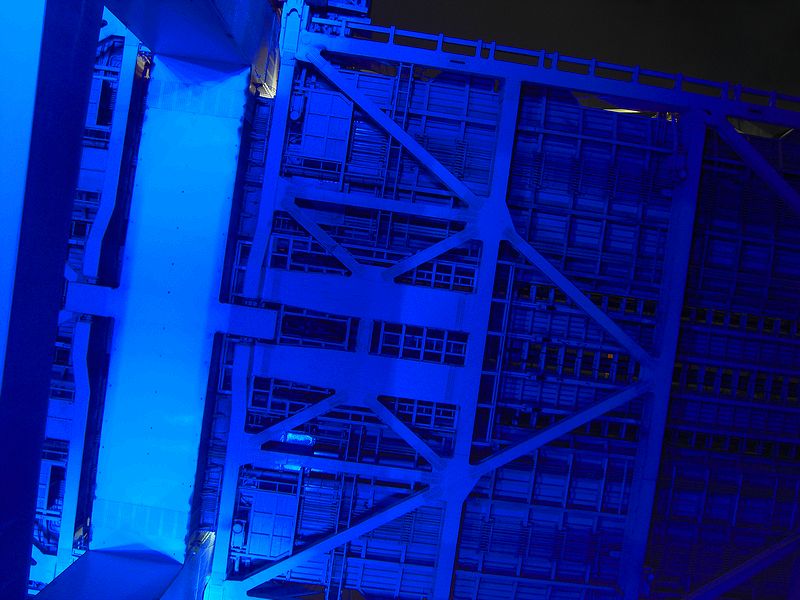 G1250_Your image is the best title ! G1250
