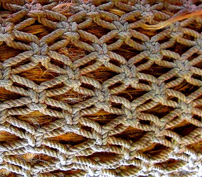 G1336_Your image is the best title ! G1336