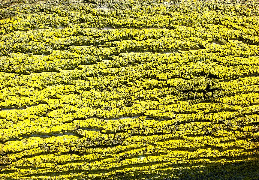 G1413_Your image is the best title ! G1413