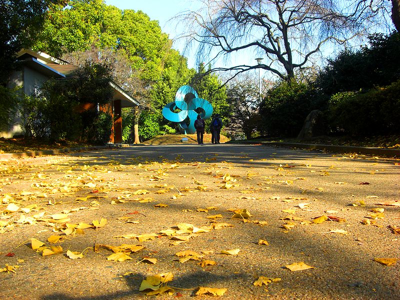 G1428_Your image is the best title ! G1428