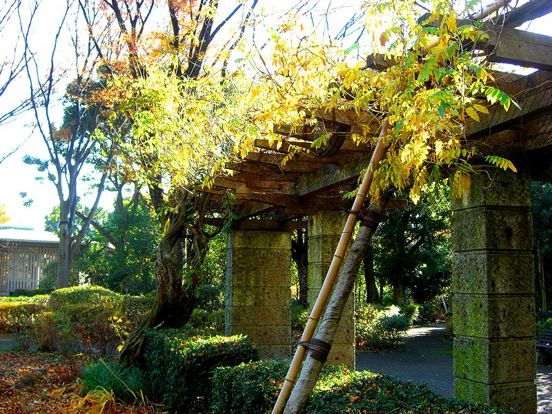 G1436_Your image is the best title ! G1436