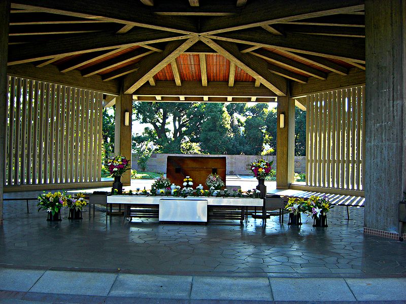 G1448_Your image is the best title ! G1448