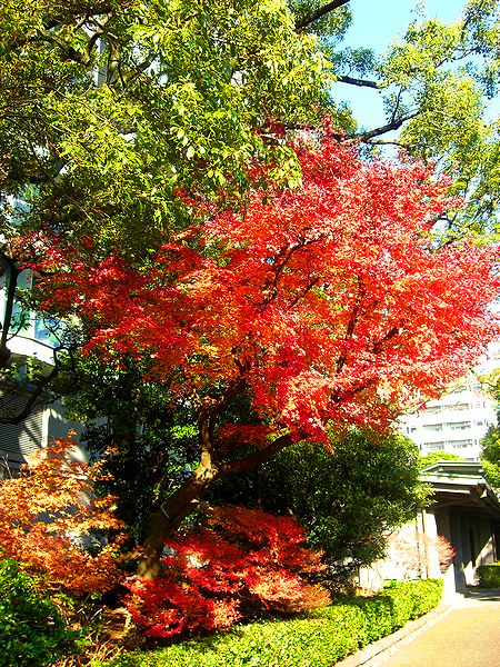 G1453_Your image is the best title ! G1453
