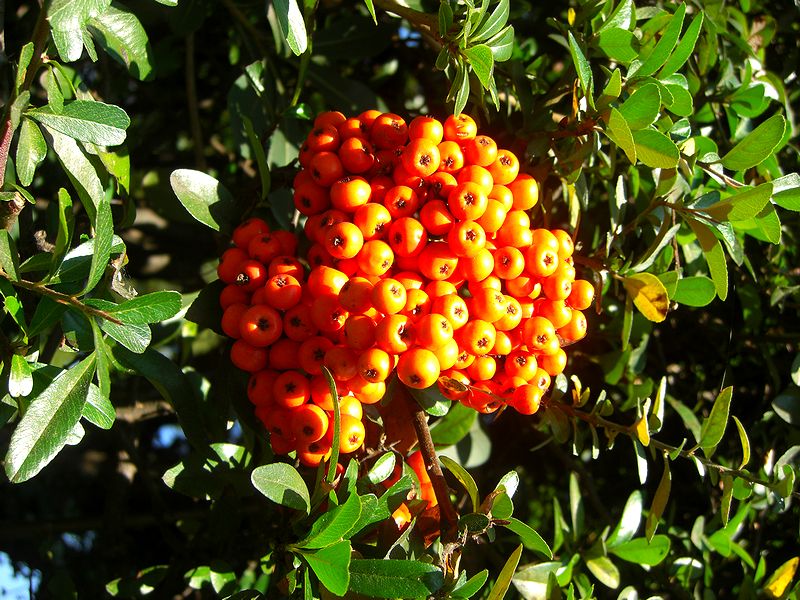 G1461_Your image is the best title ! G1461