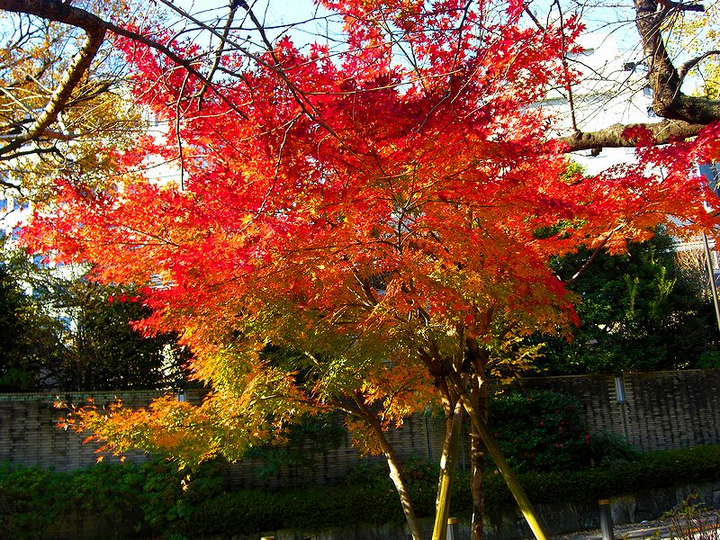 G1469_Your image is the best title ! G1469