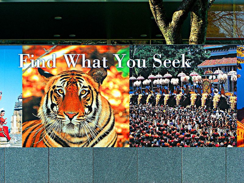 G1474_Your image is the best title ! G1474