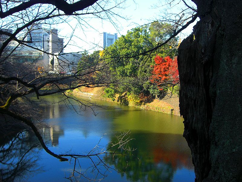 G1487_Your image is the best title ! G1487