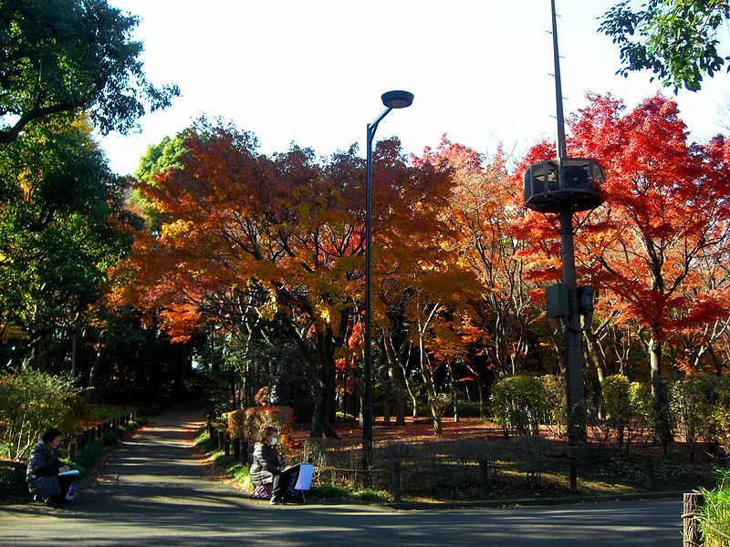 G1504_Your image is the best title ! G1504