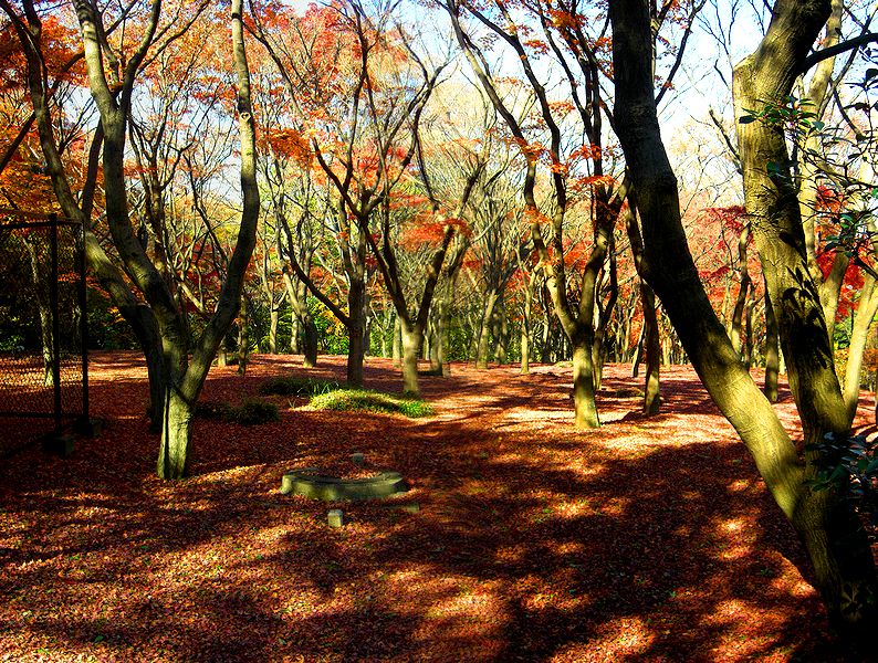 G1517_Your image is the best title ! G1517