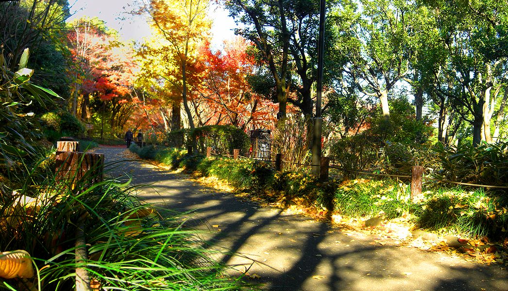 G1522_Your image is the best title ! G1522