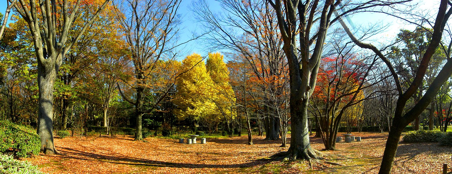 G1523_Your image is the best title ! G1523