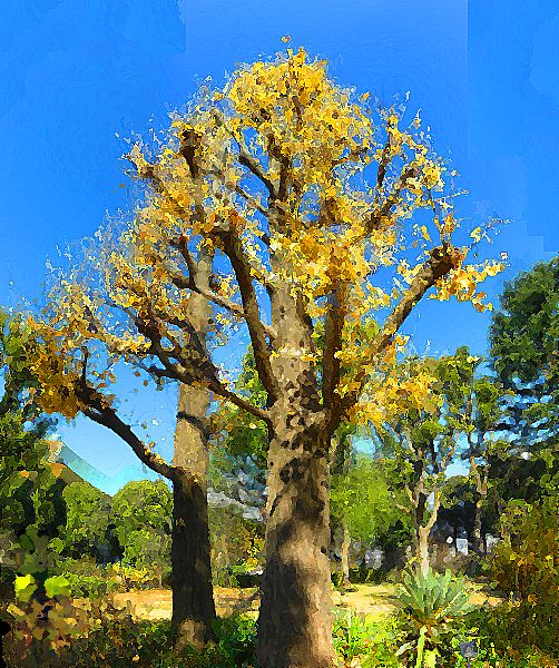 G1528_Your image is the best title ! G1528