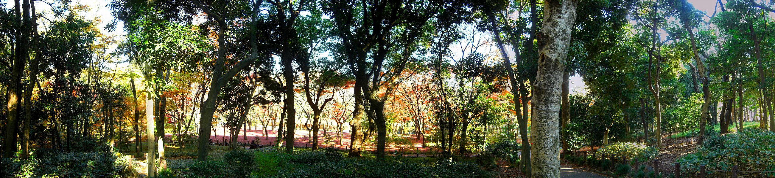 G1535_Your image is the best title ! G1535