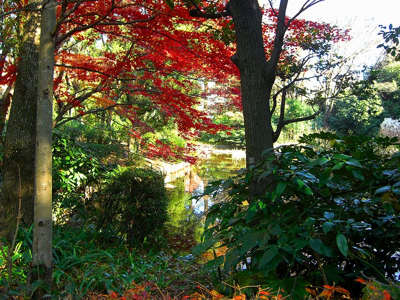 G1541_Your image is the best title ! G1541