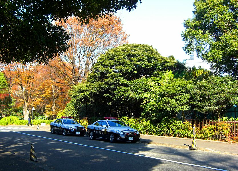 G1552_Your image is the best title ! G1552