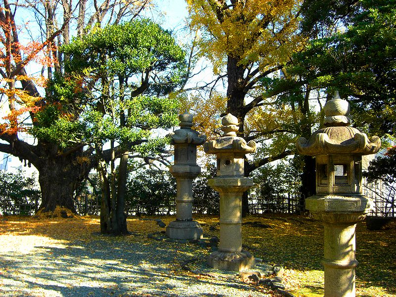 G1556_Your image is the best title ! G1556