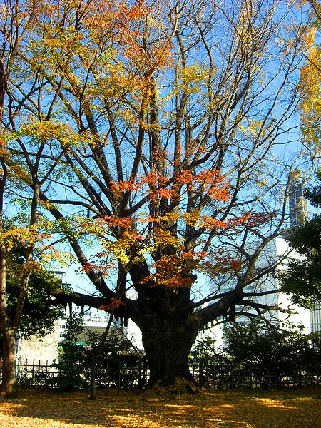 G1558_Your image is the best title ! G1558