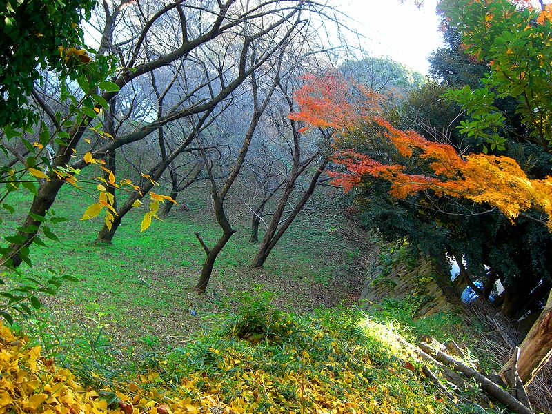 G1560_Your image is the best title ! G1560