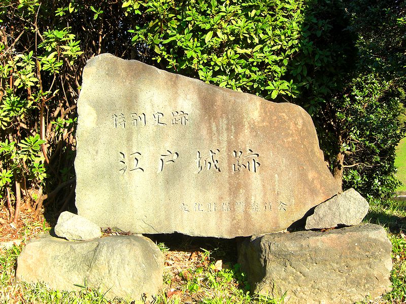 G1579_Your image is the best title ! G1579
