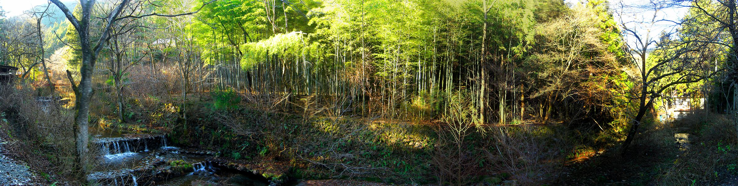 G1584_Your image is the best title ! G1584
